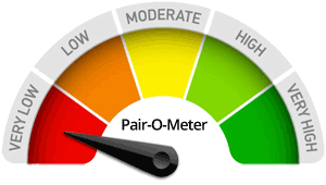 Pair-O-Meter - Supply information in the form below to improve your likeliness of being be paired with a personal loan source