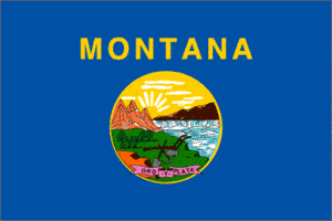 Flag of the State of Montana